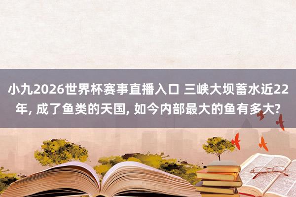 小九2026世界杯赛事直播入口 三峡大坝蓄水近22年, 成了鱼类的天国, 如今内部最大的鱼有多大?