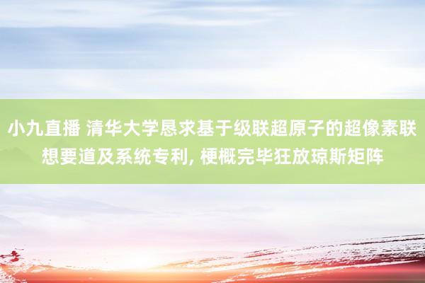 小九直播 清华大学恳求基于级联超原子的超像素联想要道及系统专利, 梗概完毕狂放琼斯矩阵