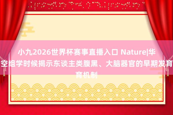 小九2026世界杯赛事直播入口 Nature|华大时空组学时候揭示东谈主类腹黑、大脑器官的早期发育机制