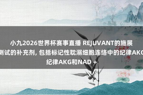 小九2026世界杯赛事直播 REJUVANT的施展优于扫数测试的补充剂, 包括标记性耽溺细胞连络中的纪律AKG和NAD +