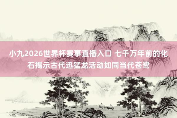 小九2026世界杯赛事直播入口 七千万年前的化石揭示古代迅猛龙活动如同当代苍鹭