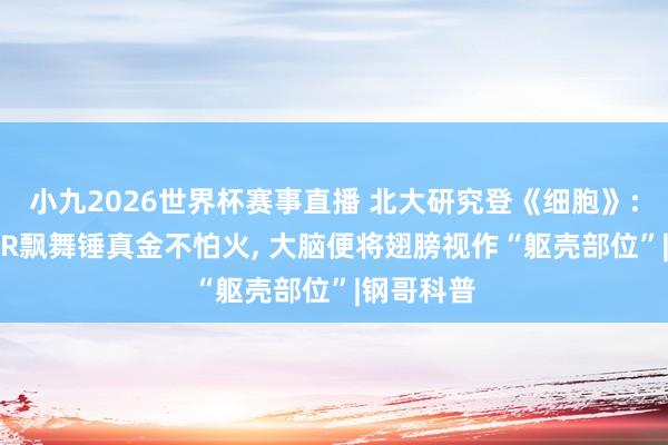 小九2026世界杯赛事直播 北大研究登《细胞》: 仅一周VR飘舞锤真金不怕火, 大脑便将翅膀视作“躯壳部位”|钢哥科普