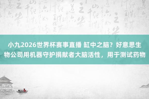小九2026世界杯赛事直播 缸中之脑？好意思生物公司用机器守护捐献者大脑活性，用于测试药物