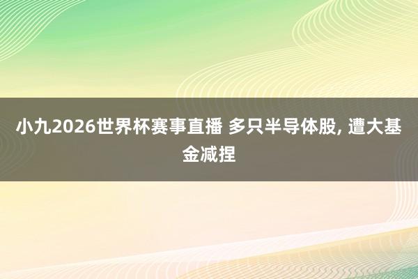 小九2026世界杯赛事直播 多只半导体股, 遭大基金减捏