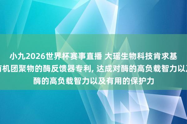 小九2026世界杯赛事直播 大瑶生物科技肯求基于无定形多孔有机团聚物的酶反馈器专利, 达成对酶的高负载智力以及有用的保护力