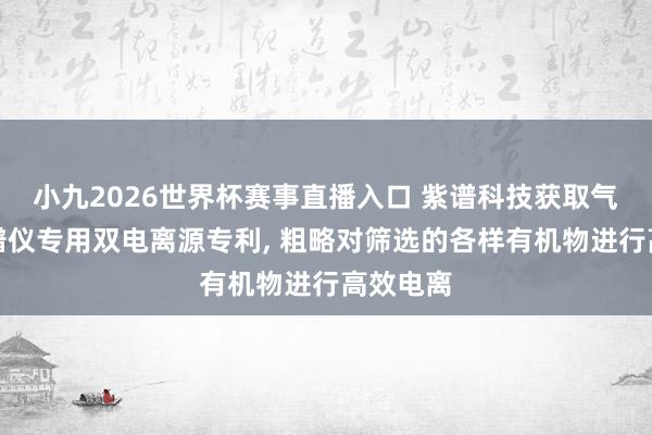 小九2026世界杯赛事直播入口 紫谱科技获取气溶胶质谱仪专用双电离源专利, 粗略对筛选的各样有机物进行高效电离