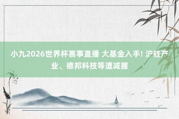 小九2026世界杯赛事直播 大基金入手! 沪硅产业、德邦科技等遭减握
