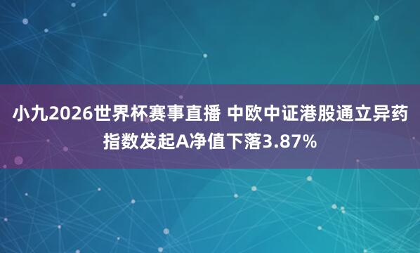 小九2026世界杯赛事直播 中欧中证港股通立异药指数发起A净值下落3.87%
