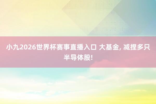 小九2026世界杯赛事直播入口 大基金, 减捏多只半导体股!