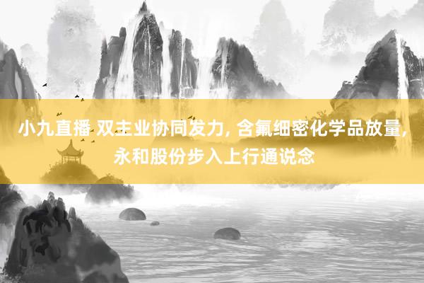 小九直播 双主业协同发力, 含氟细密化学品放量, 永和股份步入上行通说念