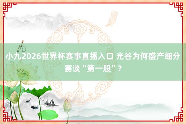 小九2026世界杯赛事直播入口 光谷为何盛产细分赛谈“第一股”？