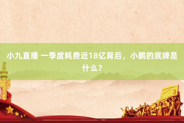 小九直播 一季度耗费近18亿背后，小鹏的底牌是什么？