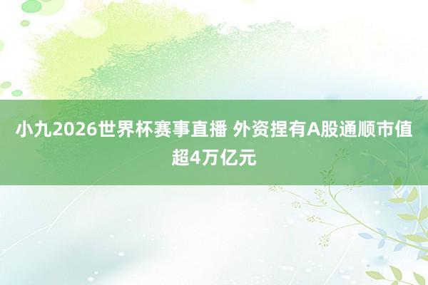 小九2026世界杯赛事直播 外资捏有A股通顺市值超4万亿元