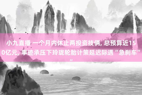 小九直播 一个月内休止两投资技俩, 总预算近150亿元, 事迹承压下玲珑轮胎计策延迟际遇“急刹车”