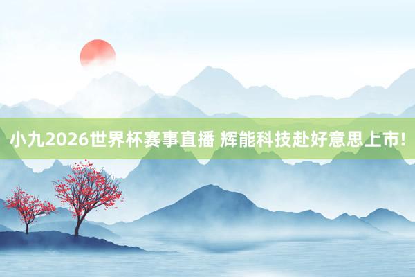 小九2026世界杯赛事直播 辉能科技赴好意思上市!