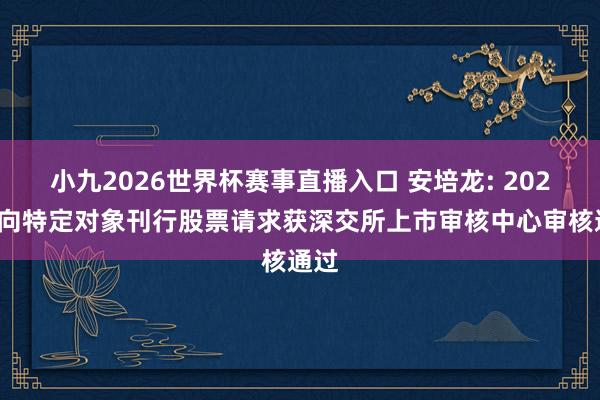小九2026世界杯赛事直播入口 安培龙: 2026年向特定对象刊行股票请求获深交所上市审核中心审核通过