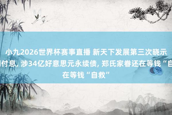 小九2026世界杯赛事直播 新天下发展第三次晓示延期付息, 涉34亿好意思元永续债, 郑氏家眷还在等钱“自救”
