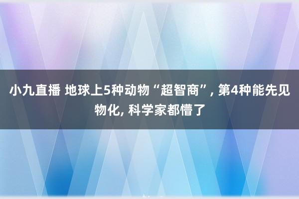 小九直播 地球上5种动物“超智商”, 第4种能先见物化, 科学家都懵了