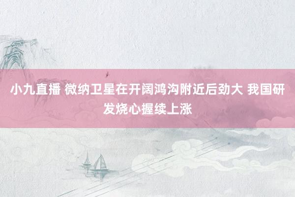 小九直播 微纳卫星在开阔鸿沟附近后劲大 我国研发烧心握续上涨