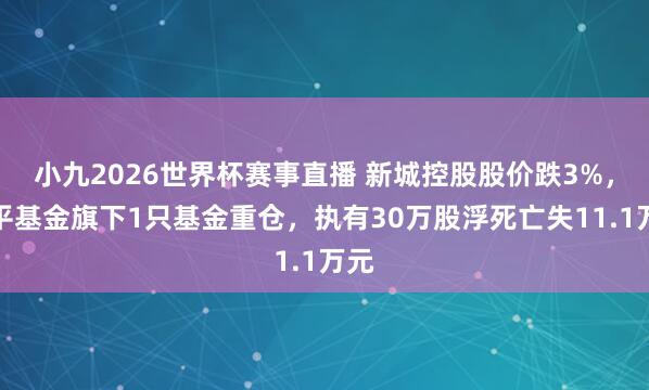 小九2026世界杯赛事直播 新城控股股价跌3%，太平基金旗下1只基金重仓，执有30万股浮死亡失11.1万元
