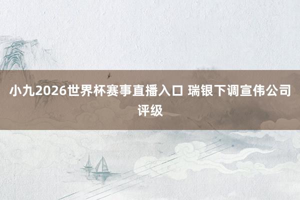 小九2026世界杯赛事直播入口 瑞银下调宣伟公司评级