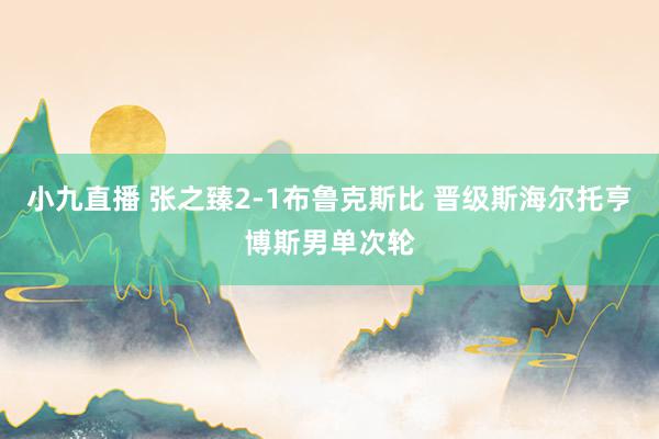 小九直播 张之臻2-1布鲁克斯比 晋级斯海尔托亨博斯男单次轮