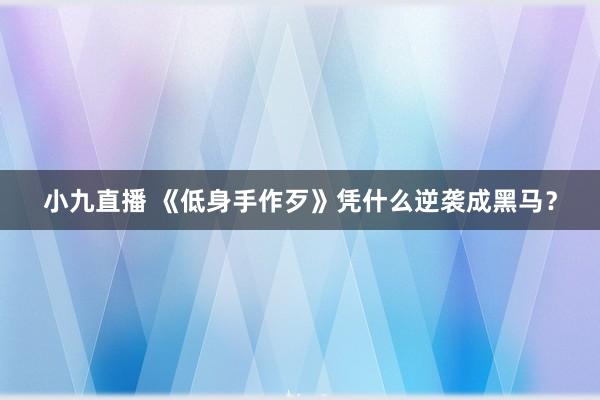 小九直播 《低身手作歹》凭什么逆袭成黑马？