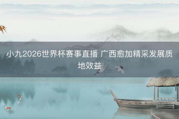 小九2026世界杯赛事直播 广西愈加精采发展质地效益
