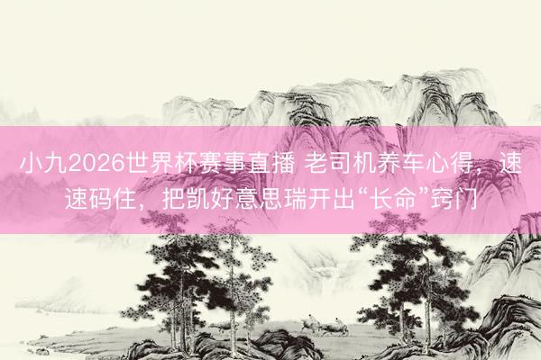 小九2026世界杯赛事直播 老司机养车心得，速速码住，把凯好意思瑞开出“长命”窍门
