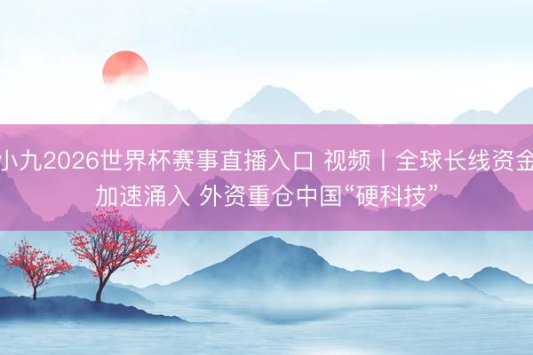 小九2026世界杯赛事直播入口 视频丨全球长线资金加速涌入 外资重仓中国“硬科技”