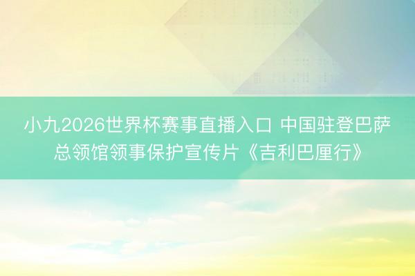 小九2026世界杯赛事直播入口 中国驻登巴萨总领馆领事保护宣传片《吉利巴厘行》