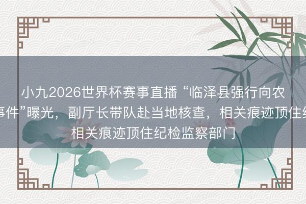 小九2026世界杯赛事直播 “临泽县强行向农民分担用度事件”曝光,副厅长带队赴当地核查,相关痕迹顶住纪检监察部门